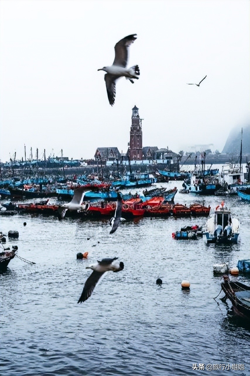 夏日海边微醺氛围感,滨城风光秀丽浪漫气息爆表