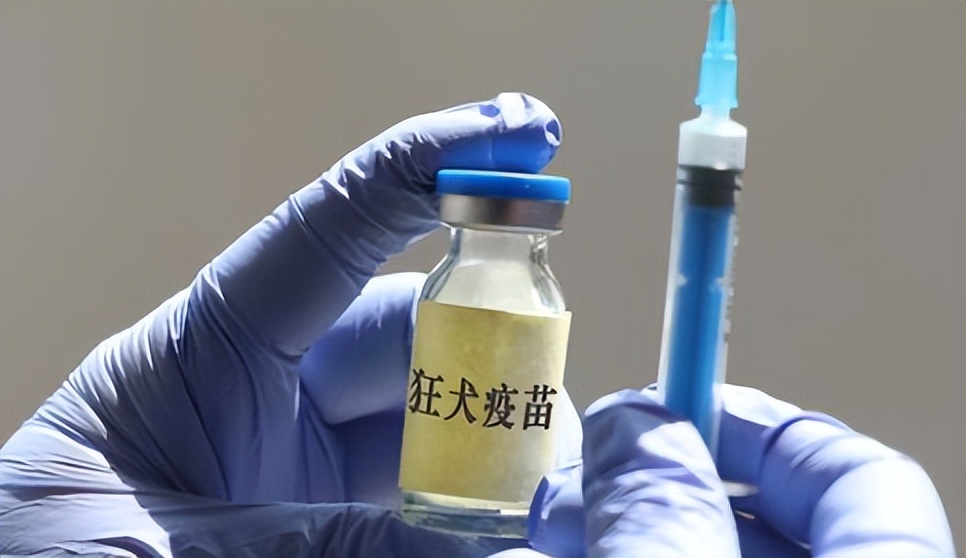 十大毁灭人类的病毒,地球上最强的5种病毒