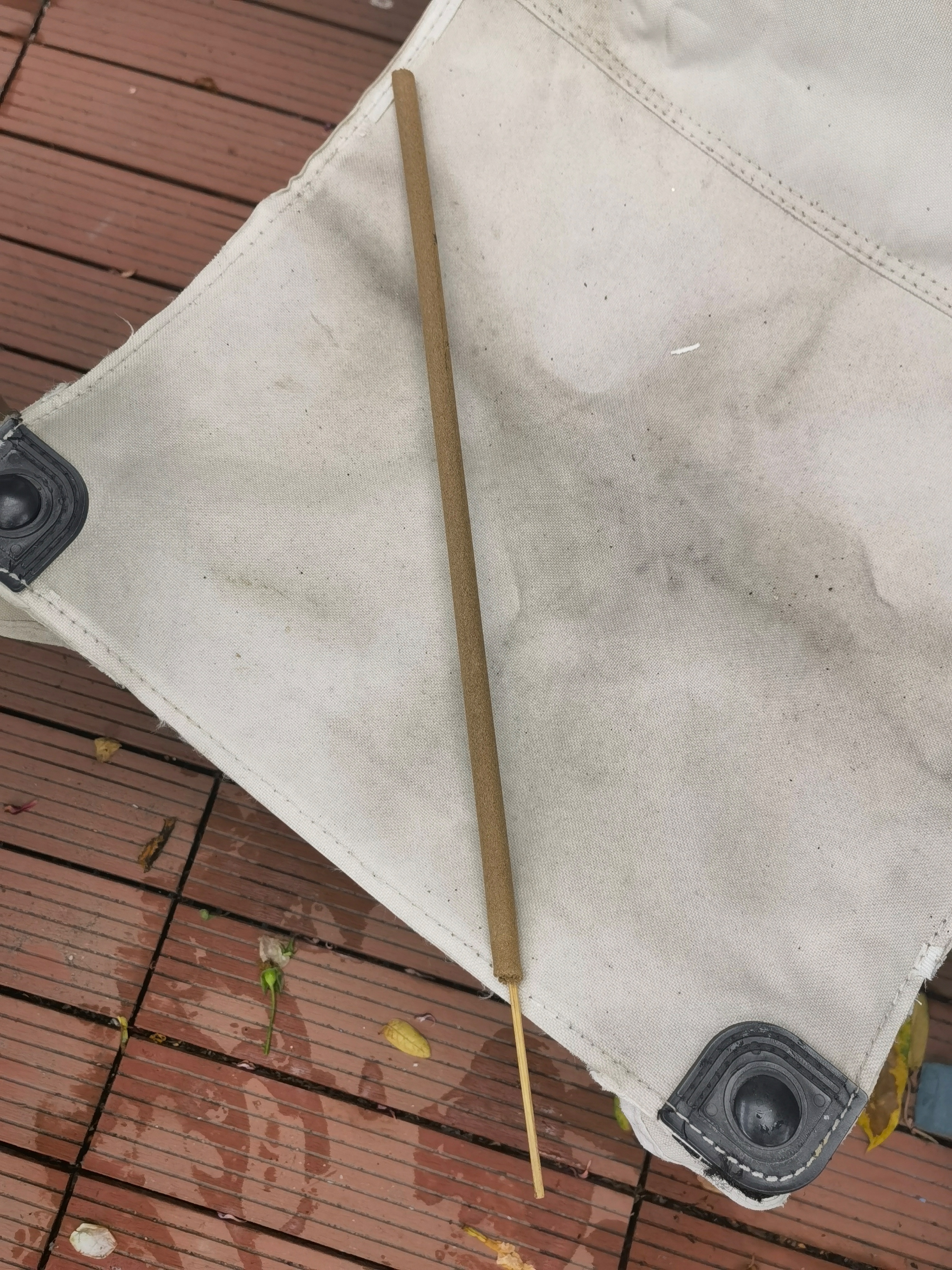 夏季常见驱蚊植物亲测有效,亲测10款驱蚊产品使用报告