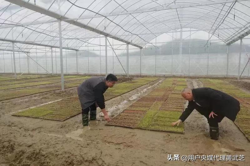 贺嘉伟接好“班”种好“田”