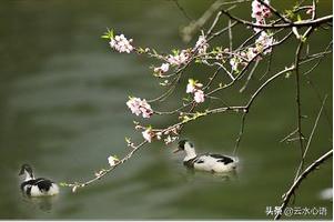 苏轼诗词表达的人生感悟,苏轼有哲理的人生感悟诗词