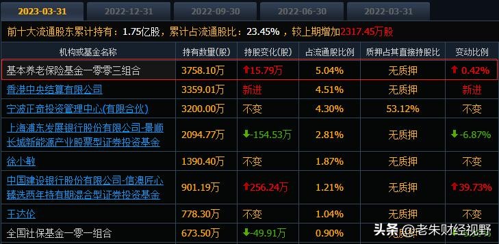 国家队重仓股名单,国家队重仓股名单最新