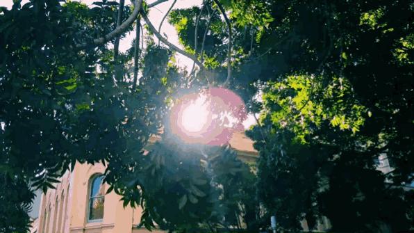 生命需要淡然岁月也需要从容,心境淡然从容