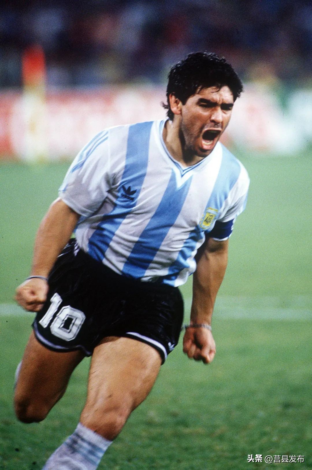 足球即是人生感悟,足球带给你什么感悟