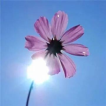 漂亮聪慧的表妹撞上失败的婚姻（2）