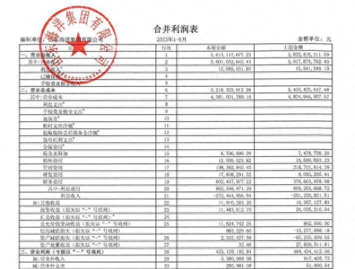 山东海洋集团借款,山东海洋集团2020年利润