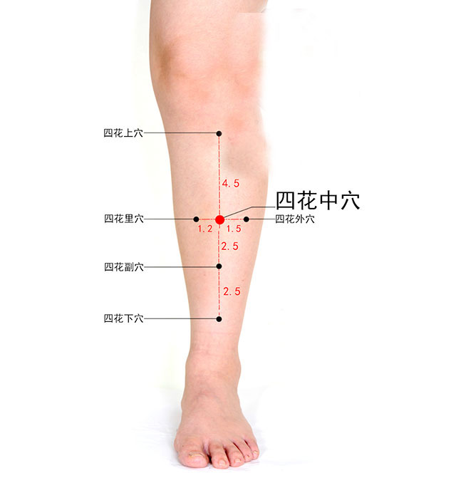 针灸调理胃肠道的方法,中医针灸脾胃疾病处方