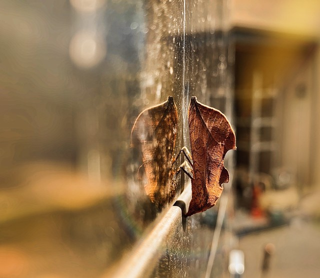 发出去的朋友圈删除有用吗,发出去的微博可以删除定位吗