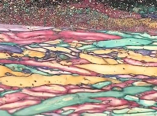 用树木做的宝石,用废弃的树枝制作宝石