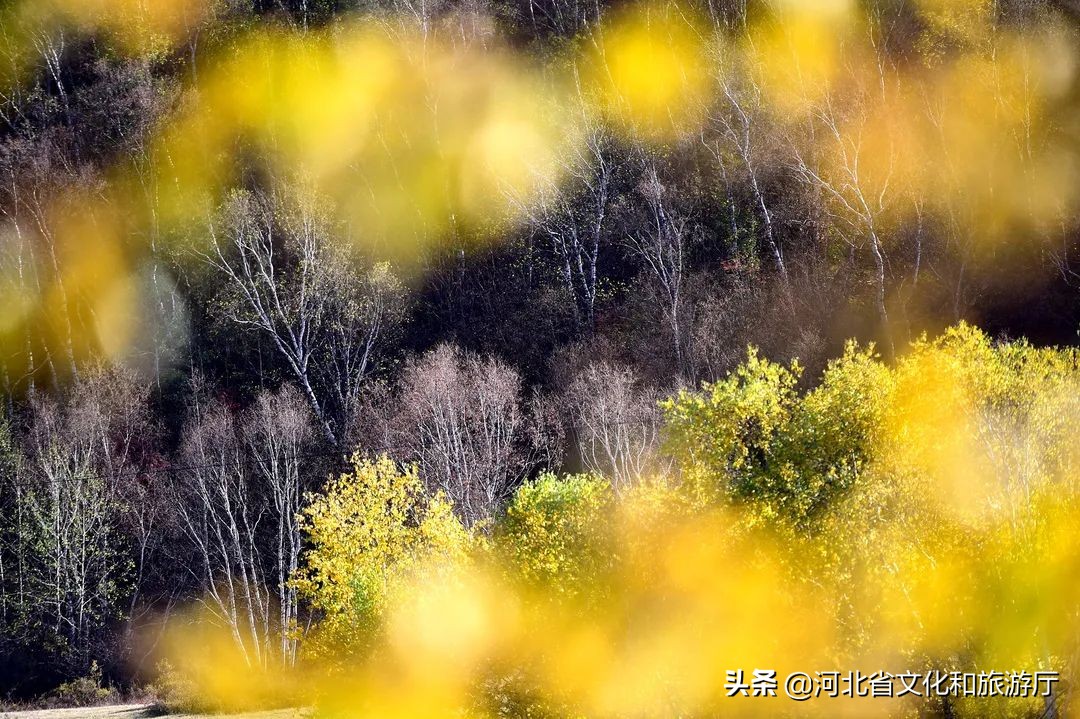 丰宁坝上草原京北第一天路视频,京北第一天路最好看的路
