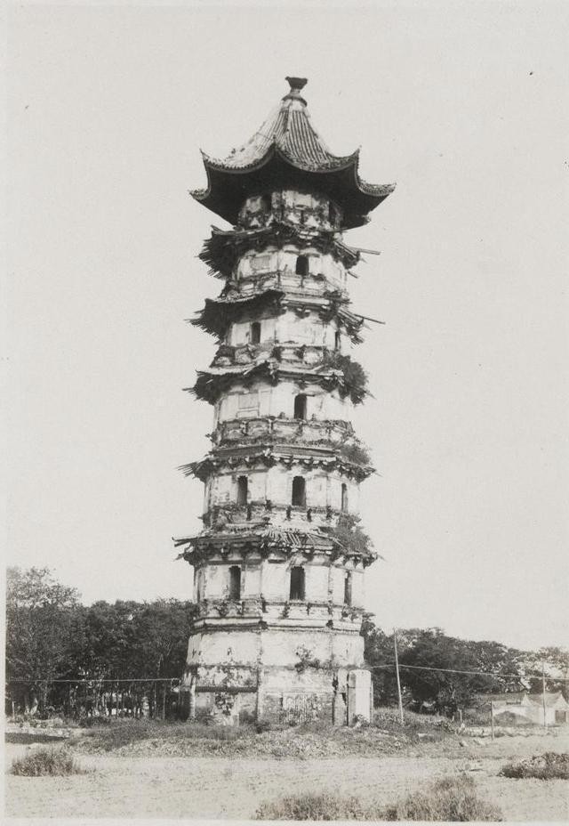 1978年,苏州3名小学生掏鸟窝,意外掏出价值50亿的顶尖国宝