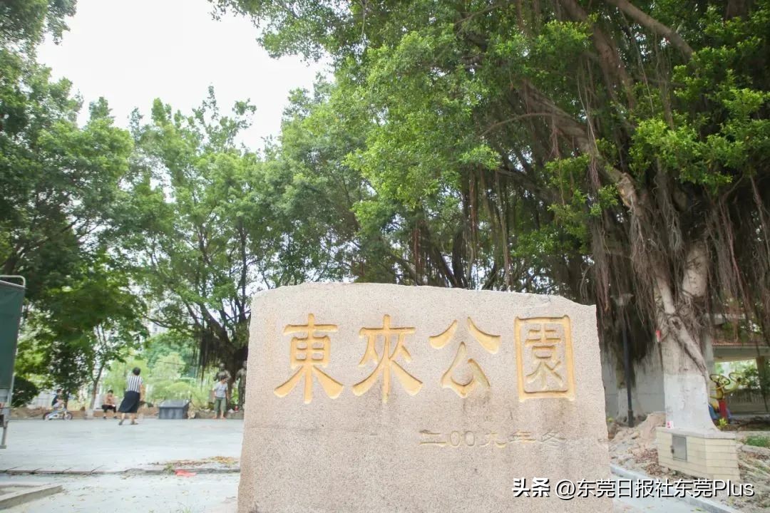 麻涌公园里最新消息,东莞麻涌公园