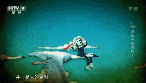 五部初中生必看物理纪录片,学物理必看的五部纪录片