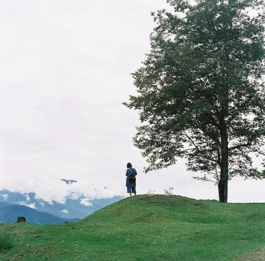 感悟人生的经典人生哲理短句,人生哲理的句子经典语录人生感悟