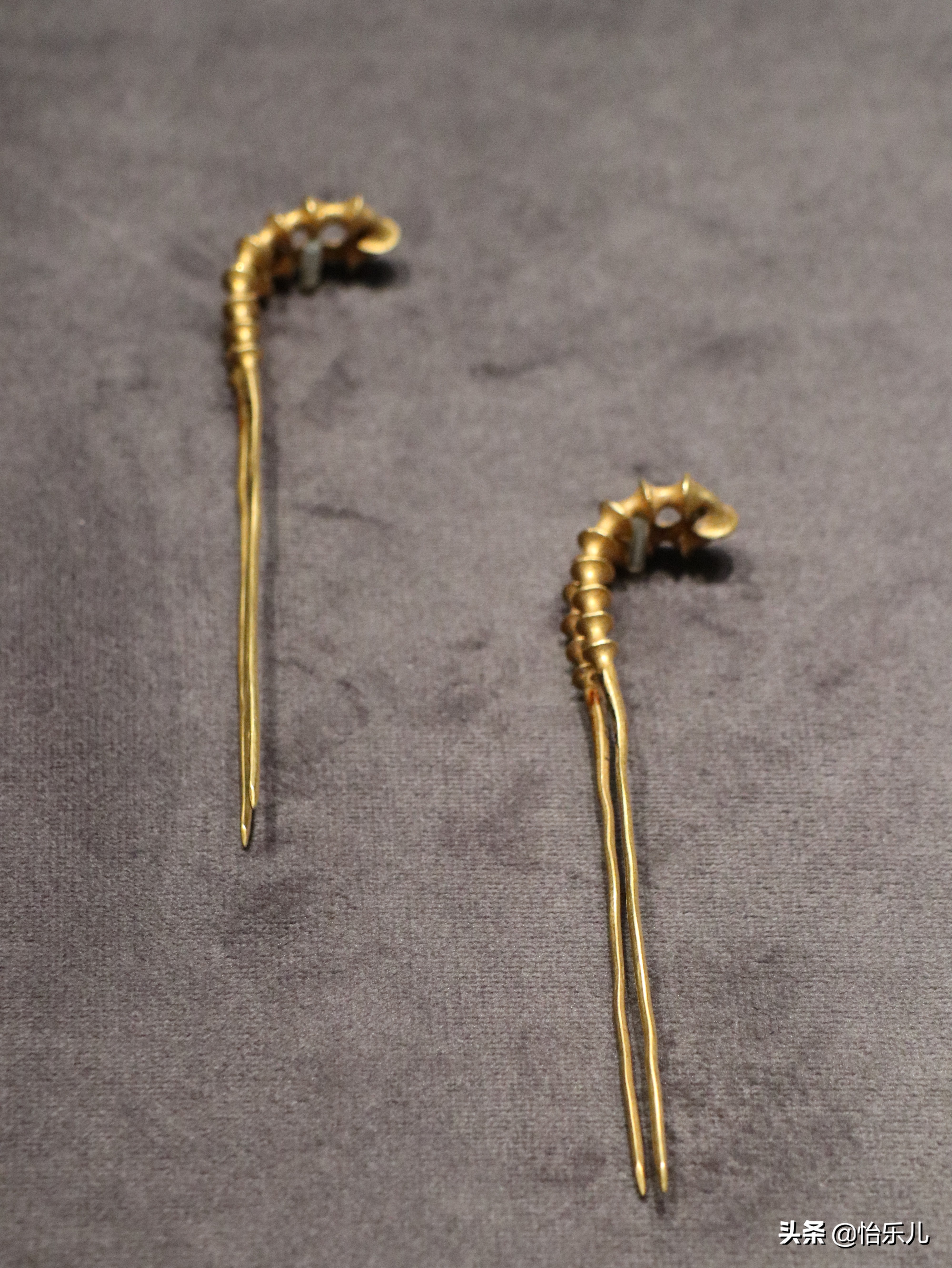 明朝万历皇帝出土瓷器,明朝公主和宋氏双驸马