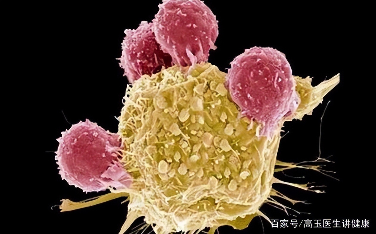 阿莫西林对哪五种病治疗好,阿莫西林别乱用