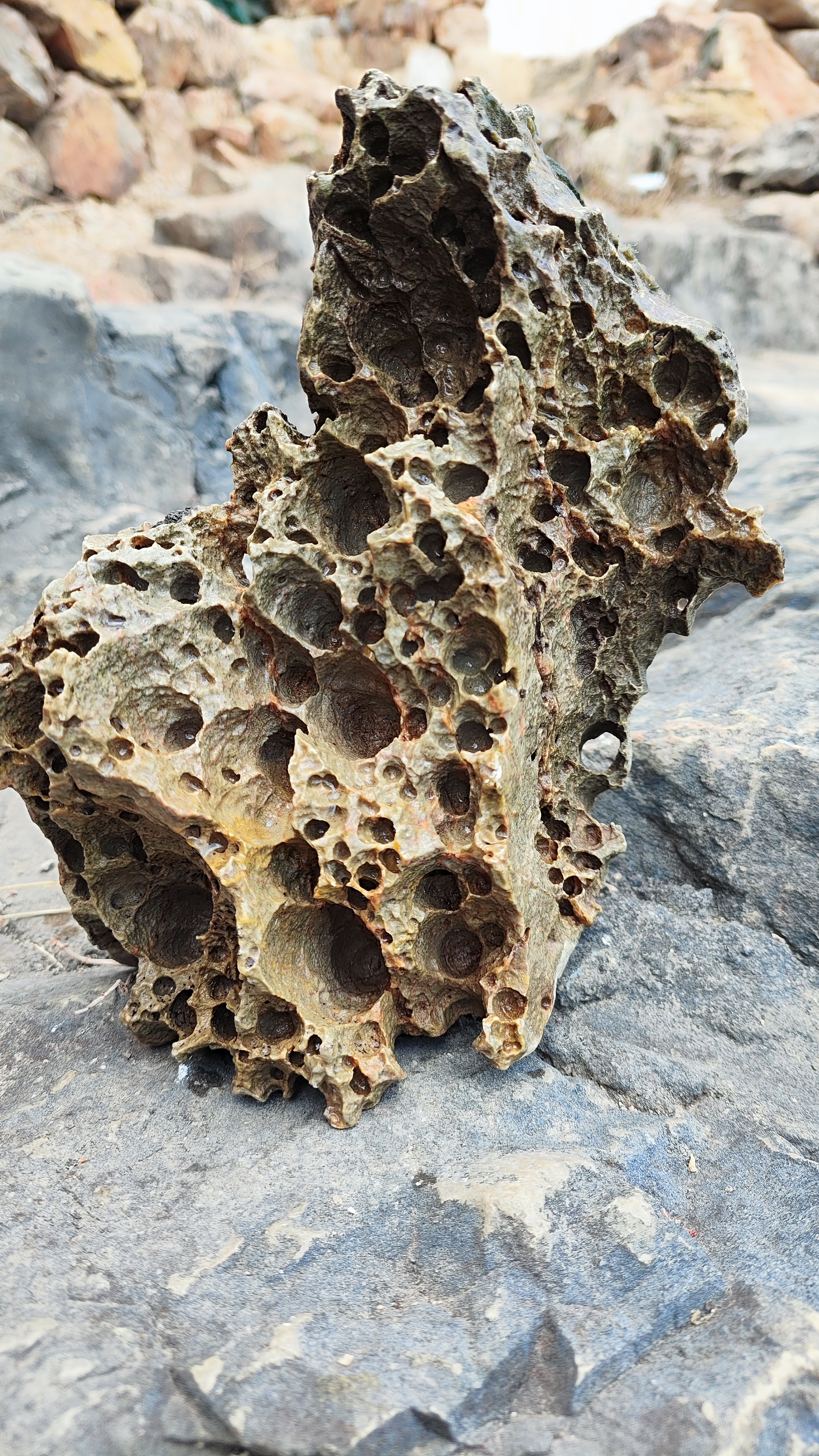 去外省穷游三五天6千块够了吗,云南5天穷游多少钱