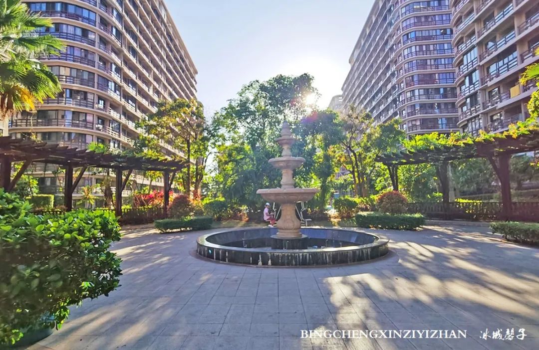 旅居海南：九所新区的浪漫情