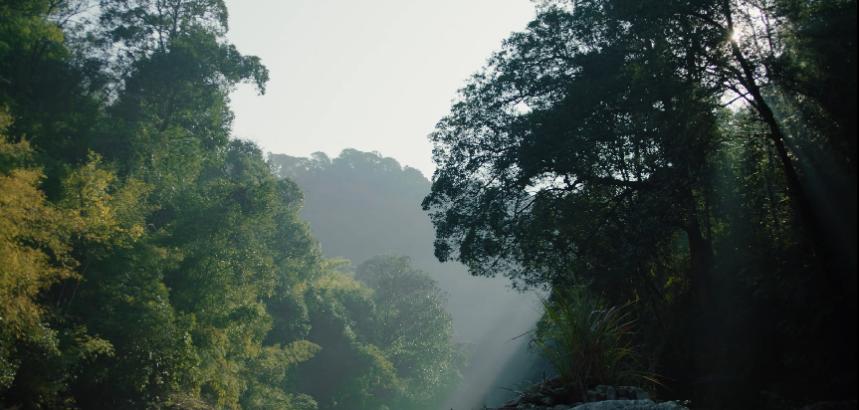 益力矿泉水现场,益力水厂