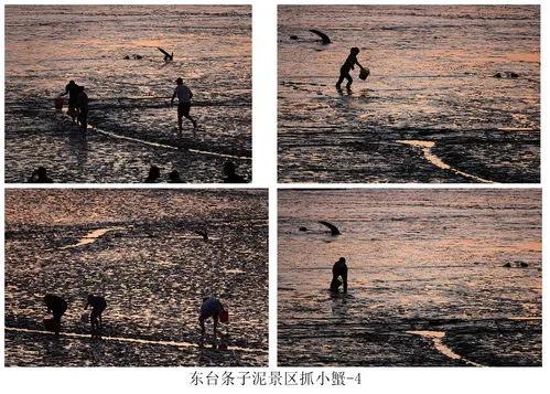 民间故事：*姑麻**好喝鳖汤肚疼而死，射白獐火焚身，杀牛当场眼流血