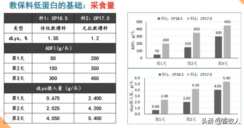 万建美博士:母仔一体化低蛋白猪料配方方案的设计与应用关键