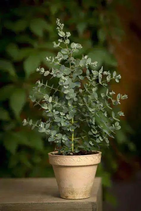 北仑疫情还回得了家吗,北仑疫情出不去了么