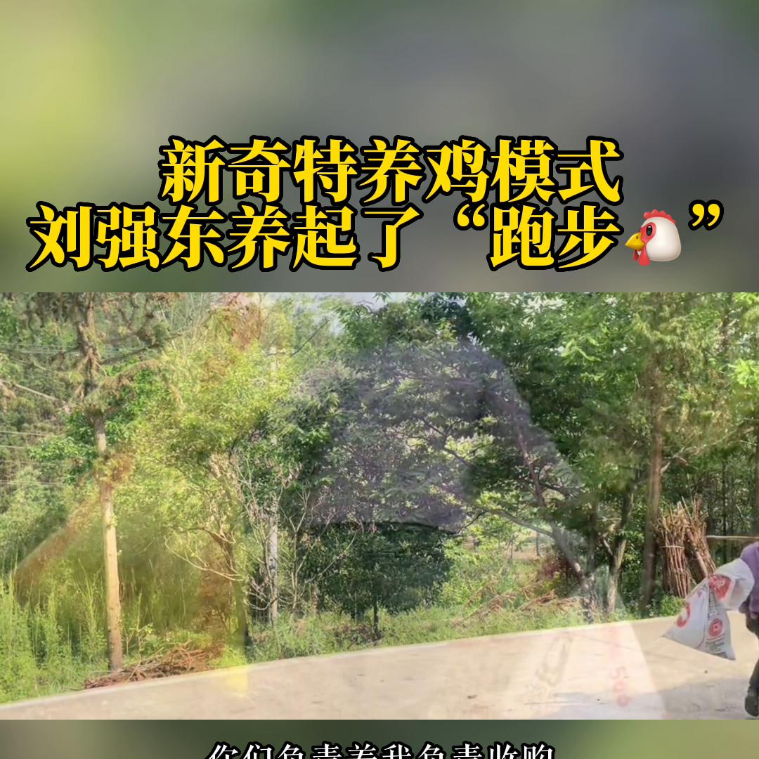 干货分享5吨随车吊价目表,干货分享短视频运营