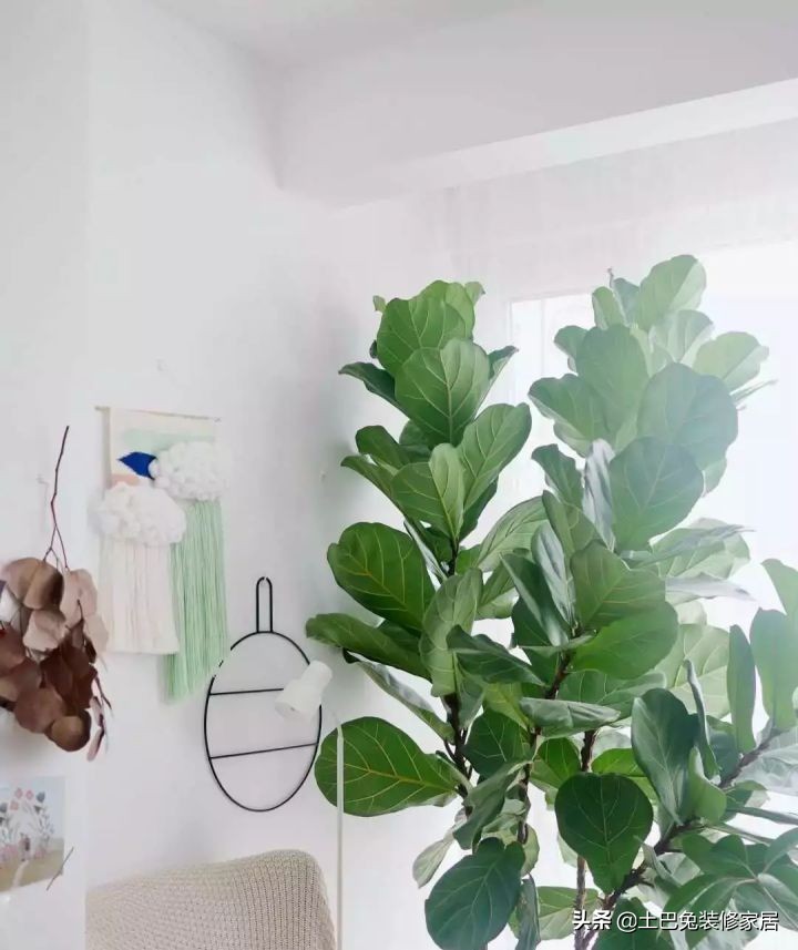 适合小夫妻住的两室一厅,90后小夫妻住30平米的房间吃什么