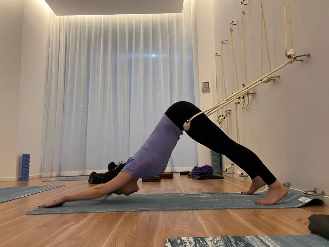 演员高晶的抖音,演员高晶照片