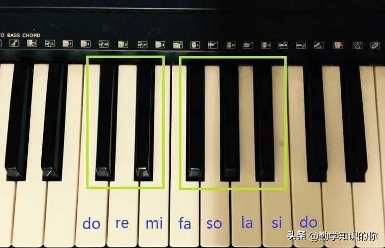 二十二个黑键电子琴琴键找法,35白键25个黑键电子琴怎么标音