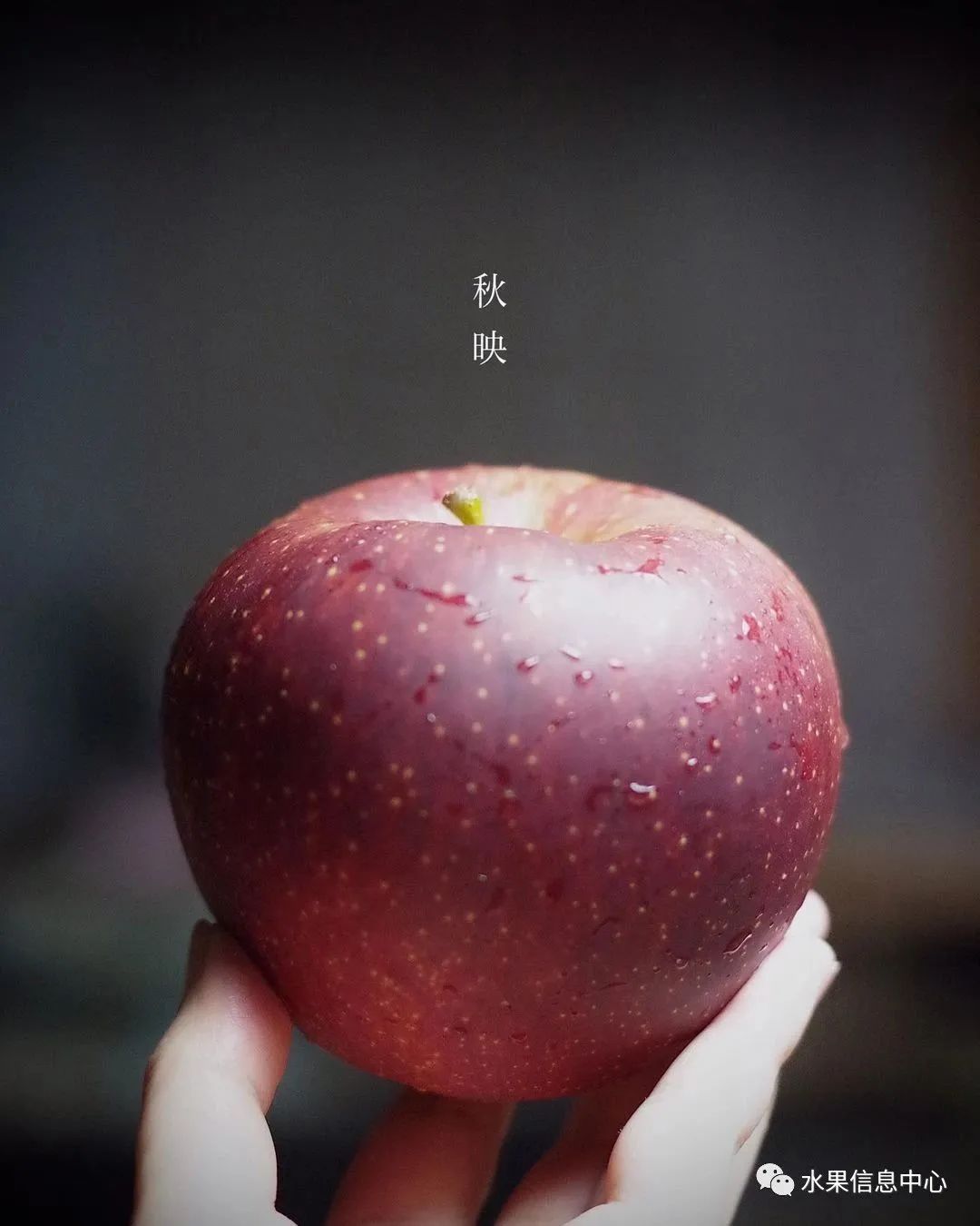 苹果排名第一是哪种苹果,苹果品种好吃排名