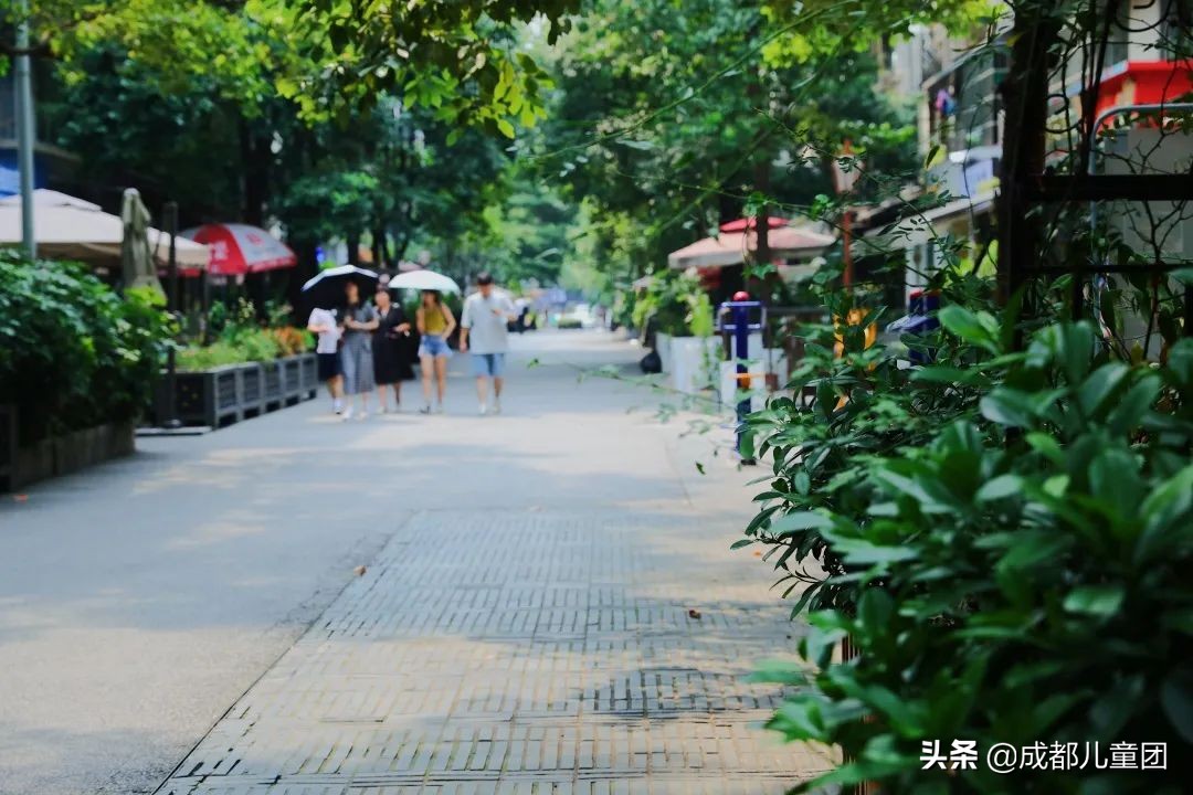 泡桐树街在哪里,泡桐树街现状