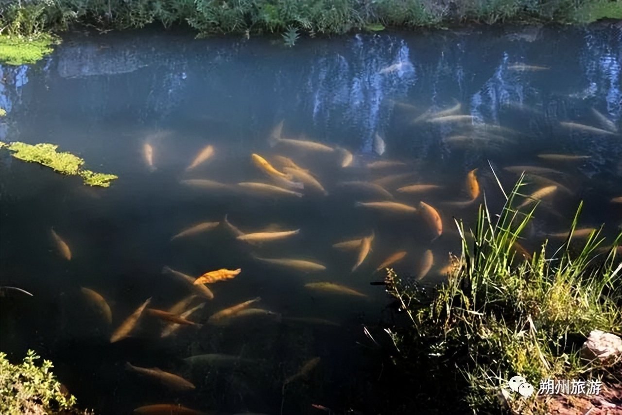 朔州五一旅游,山西朔州五一2-3天短途旅游