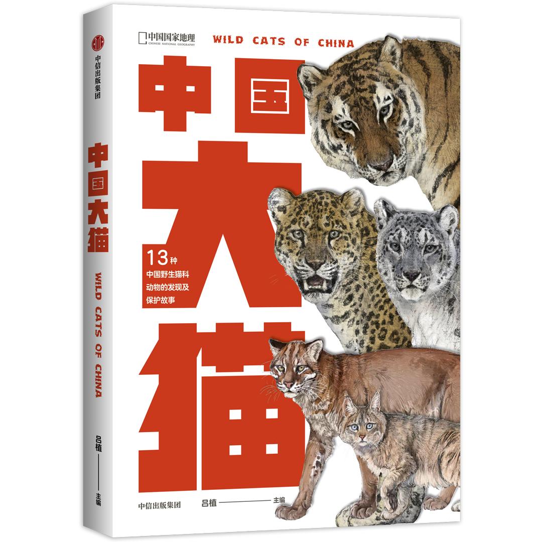 中国这13种猫猫,一种都不能少