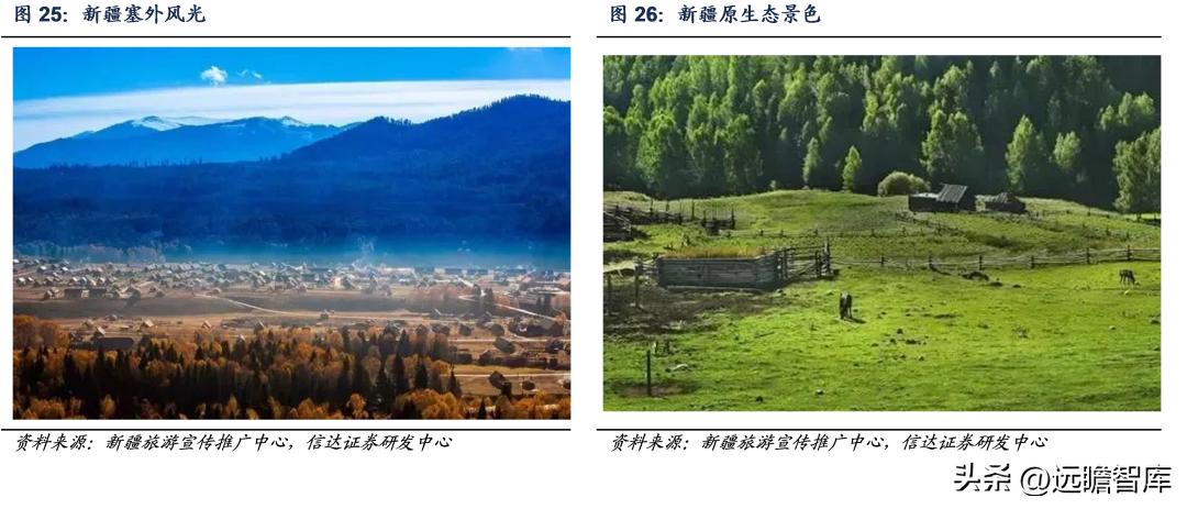 伊力特新疆酒,伊力特西域陈香白酒