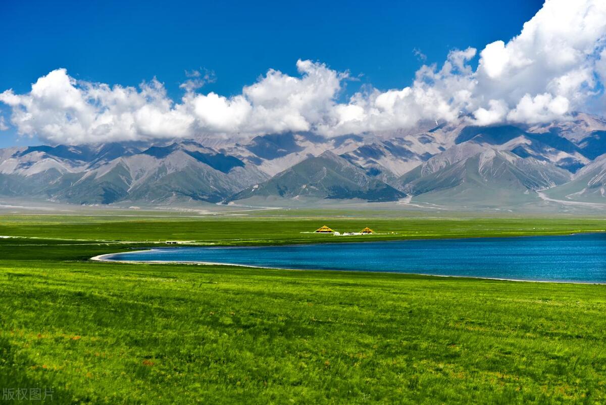 100万卖掉老公的视频,100万卖掉自己的老公