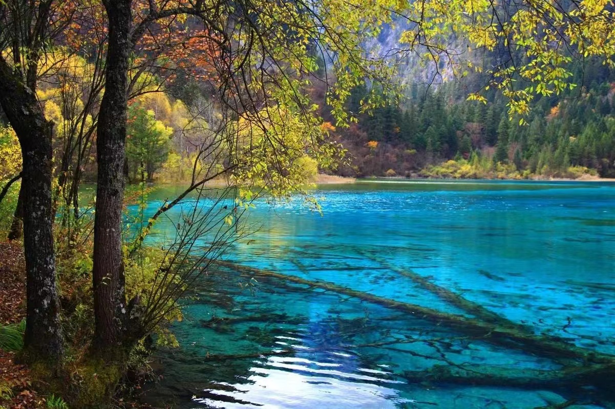 记录生活小碎片的文案,生活的零碎碎片文案