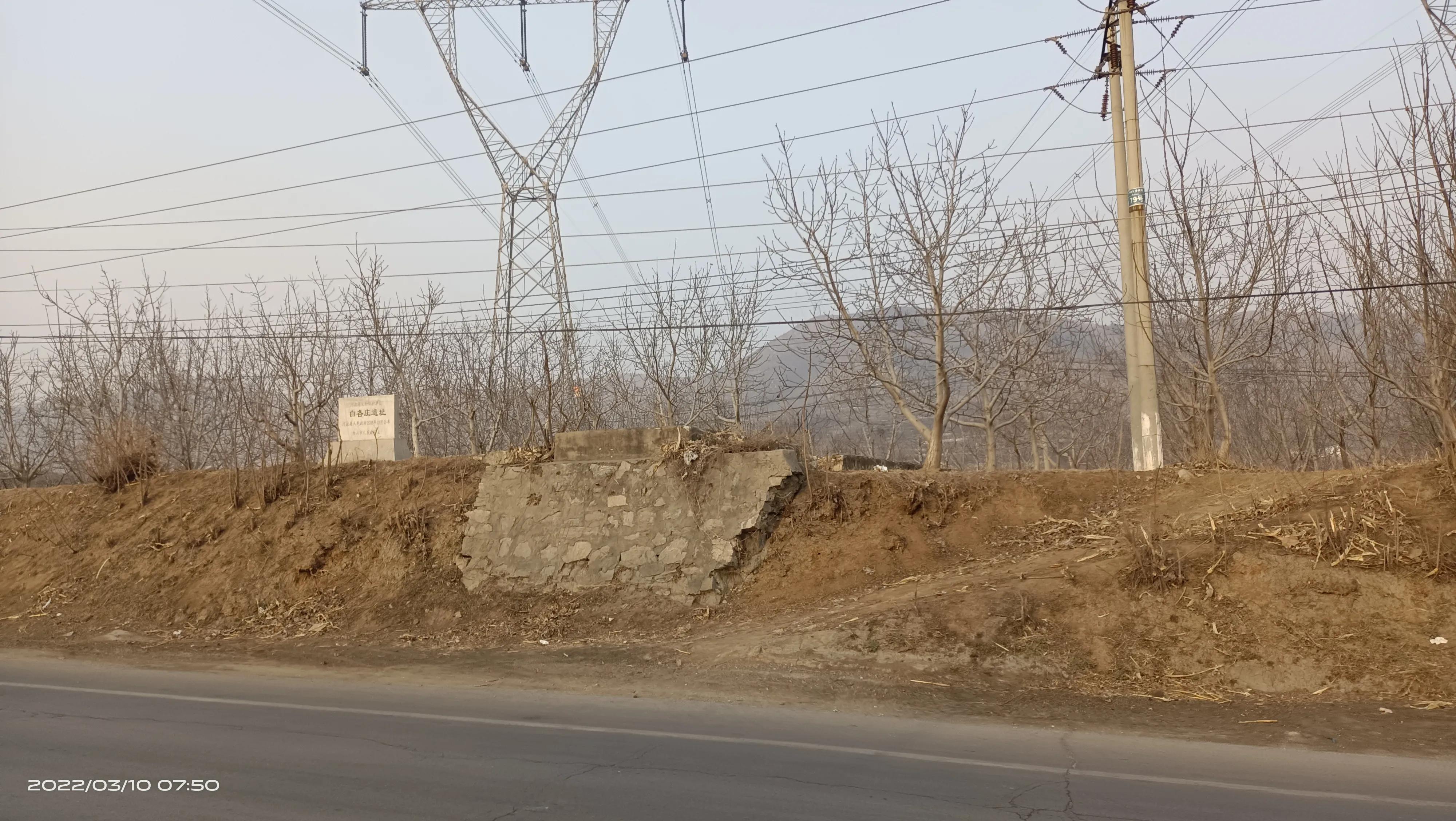 丰润区白各庄遗址,白各庄遗址