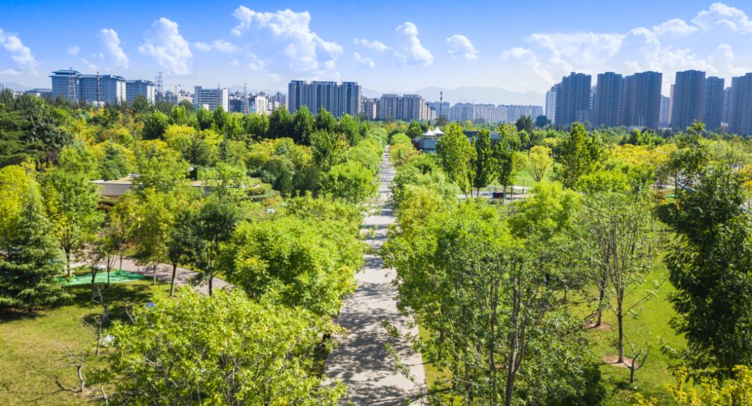 骑行打卡景点,湿地骑行观风景