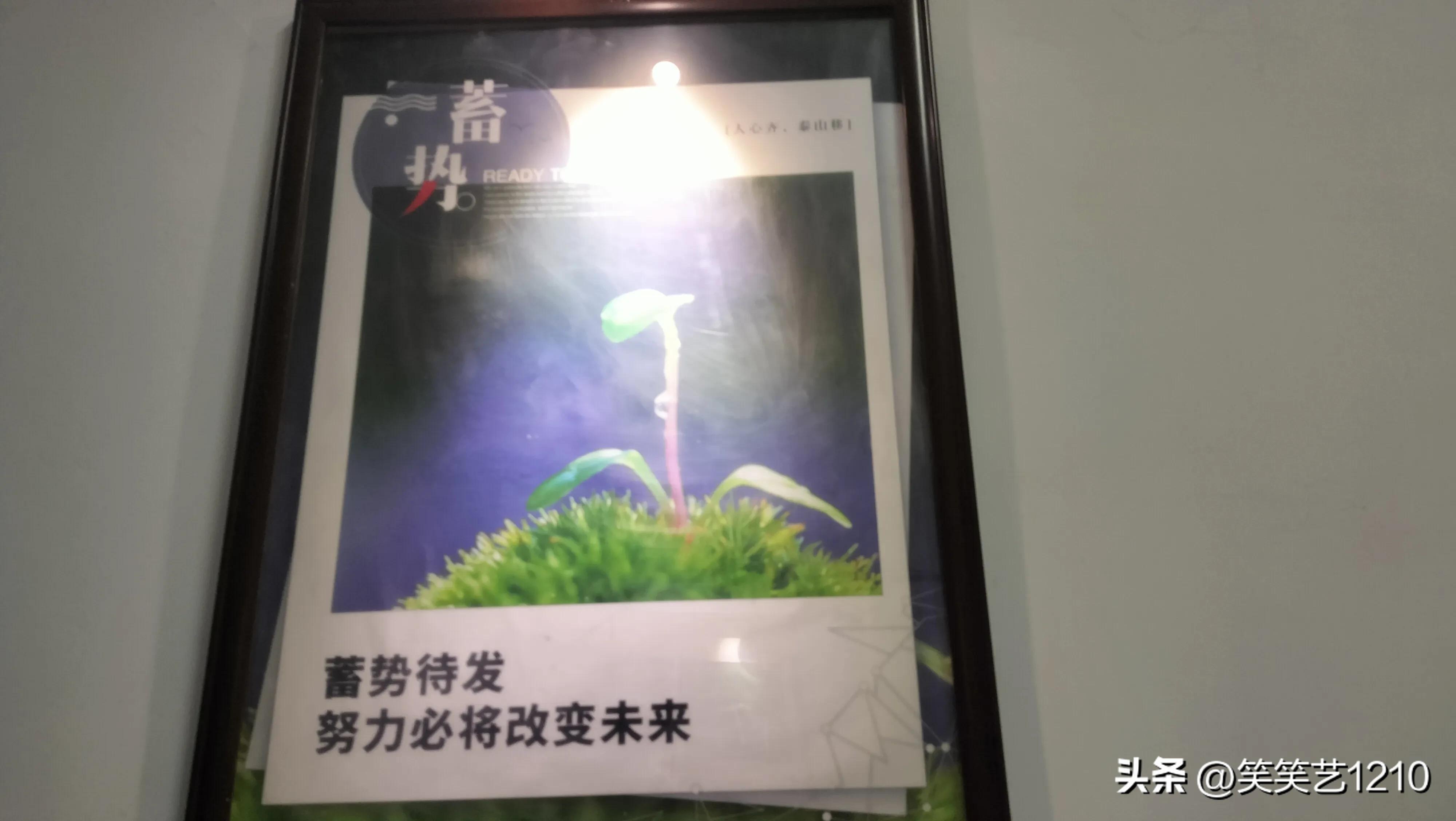 实体店创业项目思维方式,摆摊创业老板思维方式