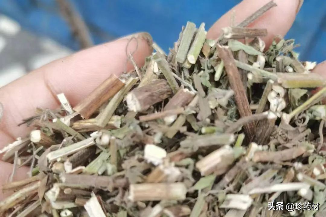 8月18日中药材市场快讯：厚朴、白及、桑叶、荆芥、丁香、豆蔻等