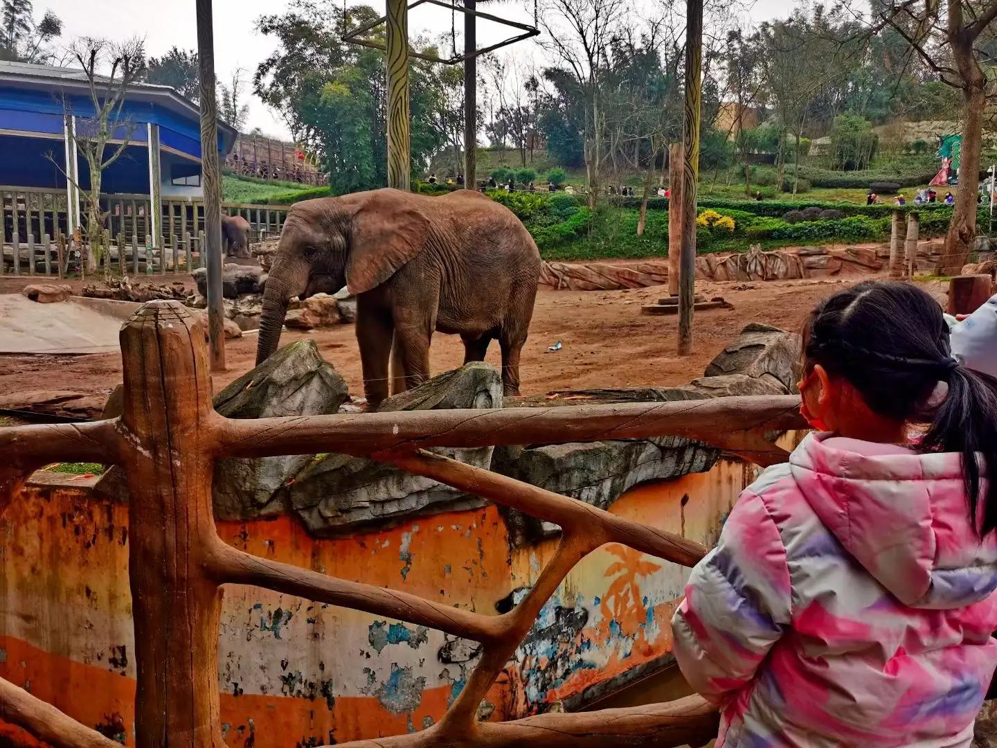 乐活乐都动物园游玩攻略,重庆动物园旅游攻略三日游