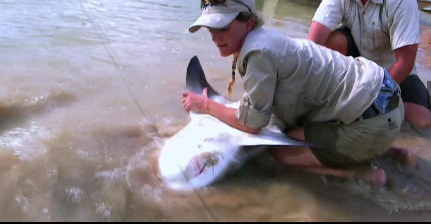 打捞巨型魟鱼,巨大魟鱼