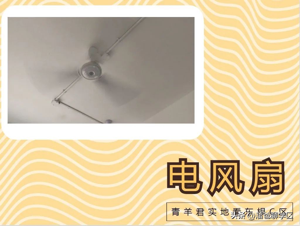 一校三区→一校五区？从不设分校的“金花学校”要爆发？