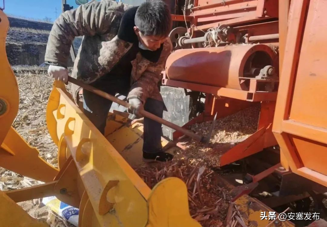 激发人才活力助力乡村振兴,以人才集聚引领乡村振兴发展