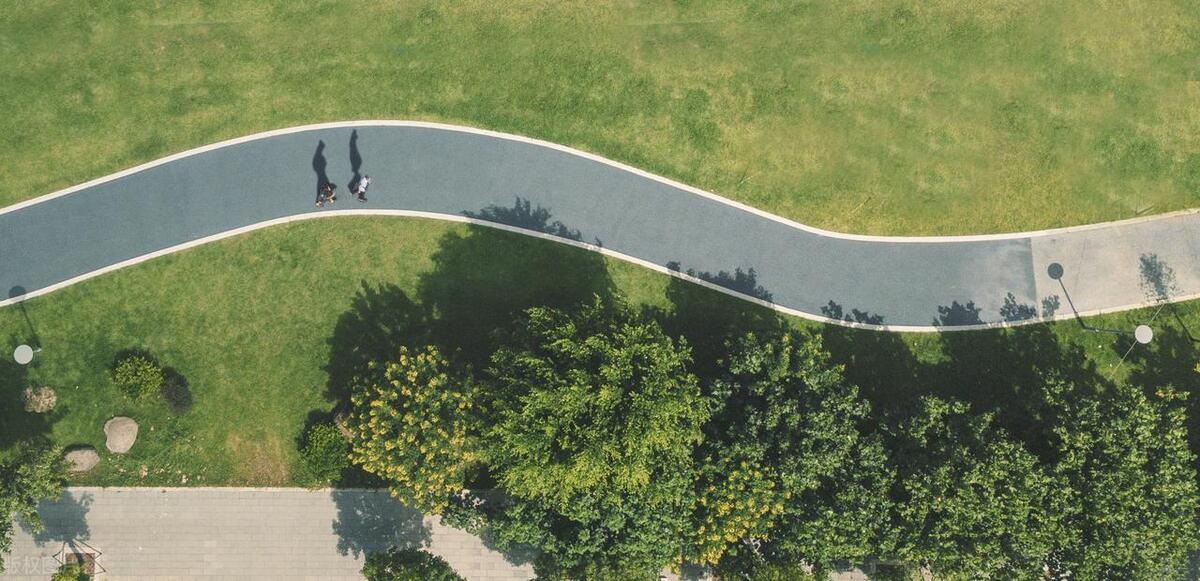 园林绿化养护一般包含哪些内容,园林绿化属于什么经费