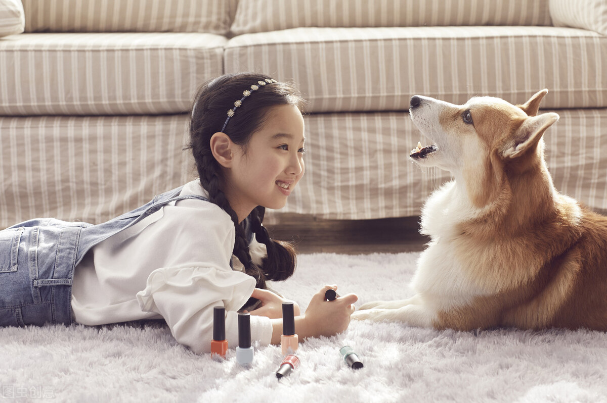 什么宠物好养有意思,这些超可爱的小宠物你养过吗