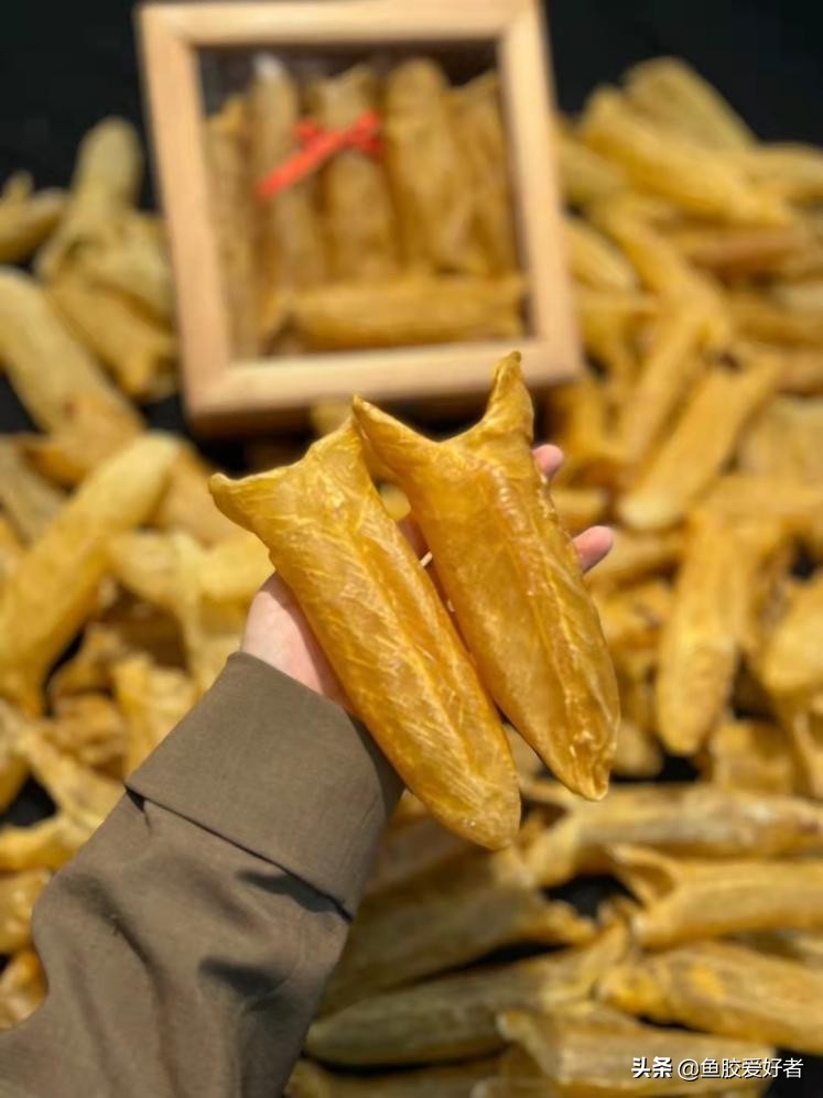 燕窝海参鱼胶滋补礼盒,怎么挑选鱼胶和燕窝