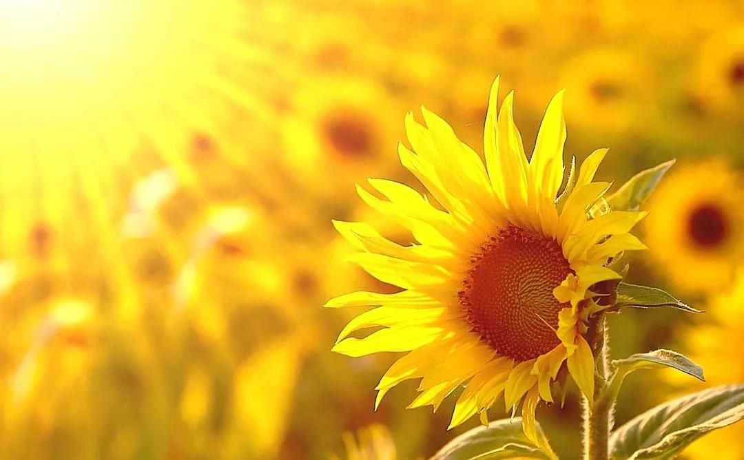 丁克4年怀孕，闺蜜说让她的儿子给我养老，她：轮不到你惦记