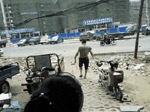 老鼠贴粘大老鼠跑了会死吗,老鼠贴粘到鸟违法吗